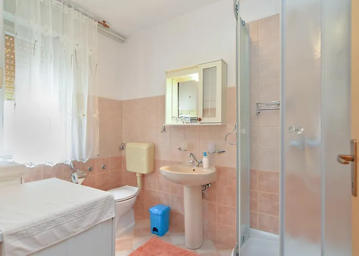 게스트하우스 & Tanja 1552 풀라